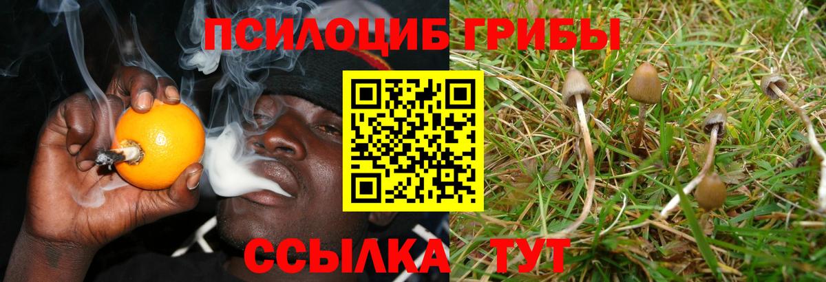 Галлюциногенные грибы GOLDEN TEACHER  Вход с VPN  Нижнекамск 
