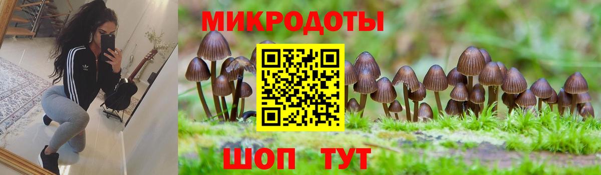 Псилоцибиновые грибы прущие грибы Нижнекамск